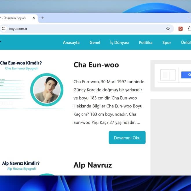 Hoe verwijder je Boyu.com.tr?