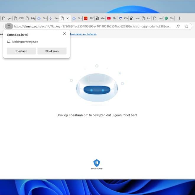 Hoe verwijder je Damnp.co.in?