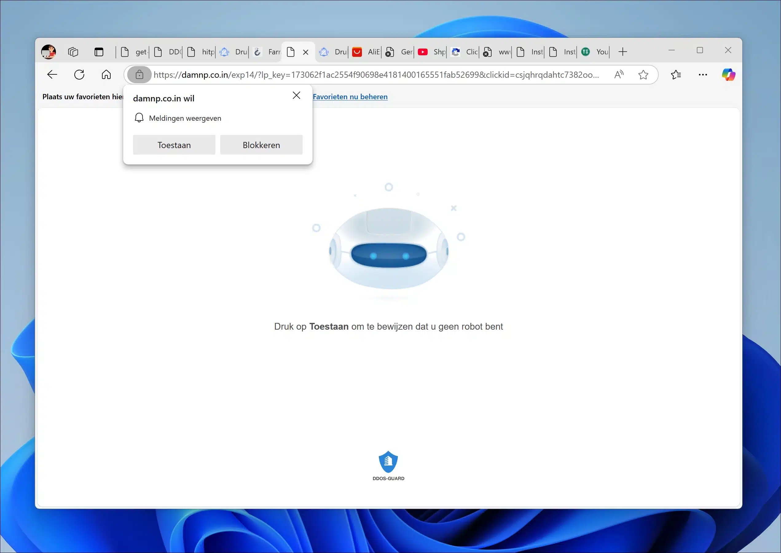Damnp.co.in