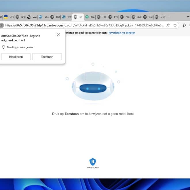 Snb-adguard.co.in verwijderen