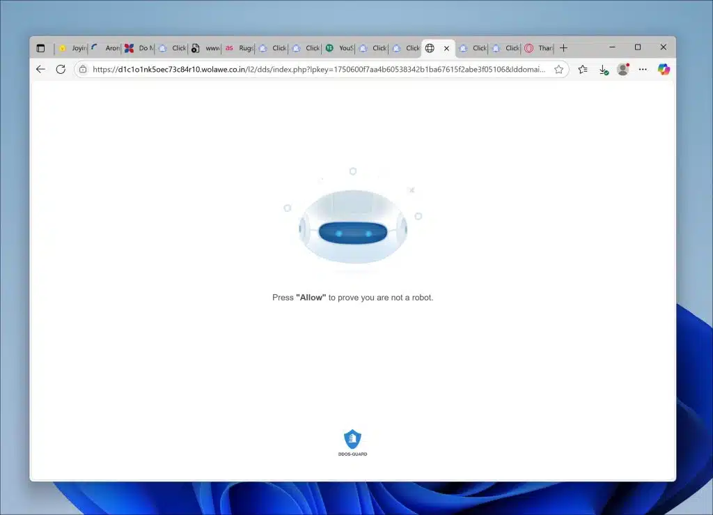 Wolawe.co.in